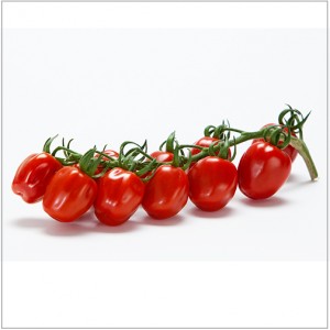 tros tomaten